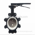 up and down shaft lug butterfly valve